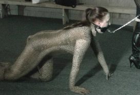 Тартылған БДСМ Тартылған БДСМ