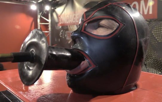 542px x 343px - dildo gag Video Archives for FREE download - Bondage me