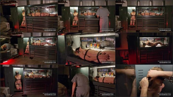 ssilv 3420 756 Ben catherine zonah toolchest orgasms.mp4 700x395