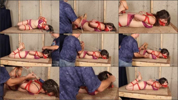 bnd bjv 1221.mp4 700x395