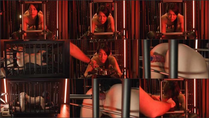cmt Isabel Love machine fucked in slave cage.mp4 700x395