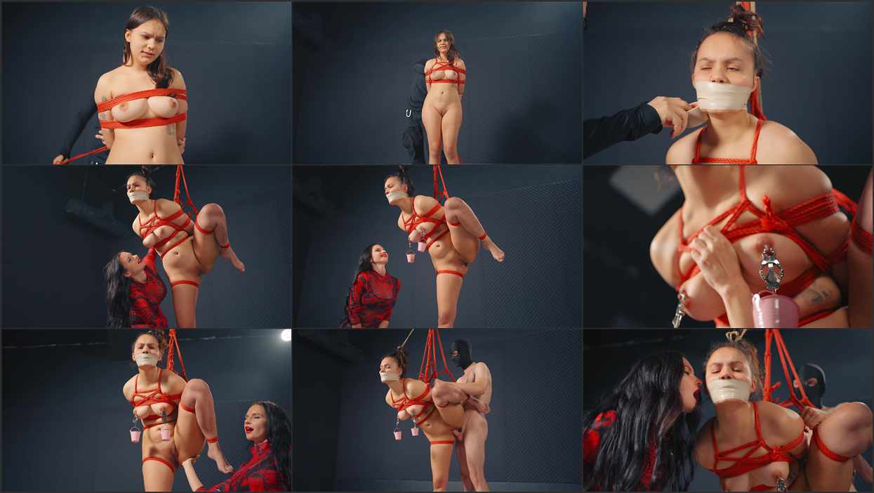 Порно бейнелер жинағы